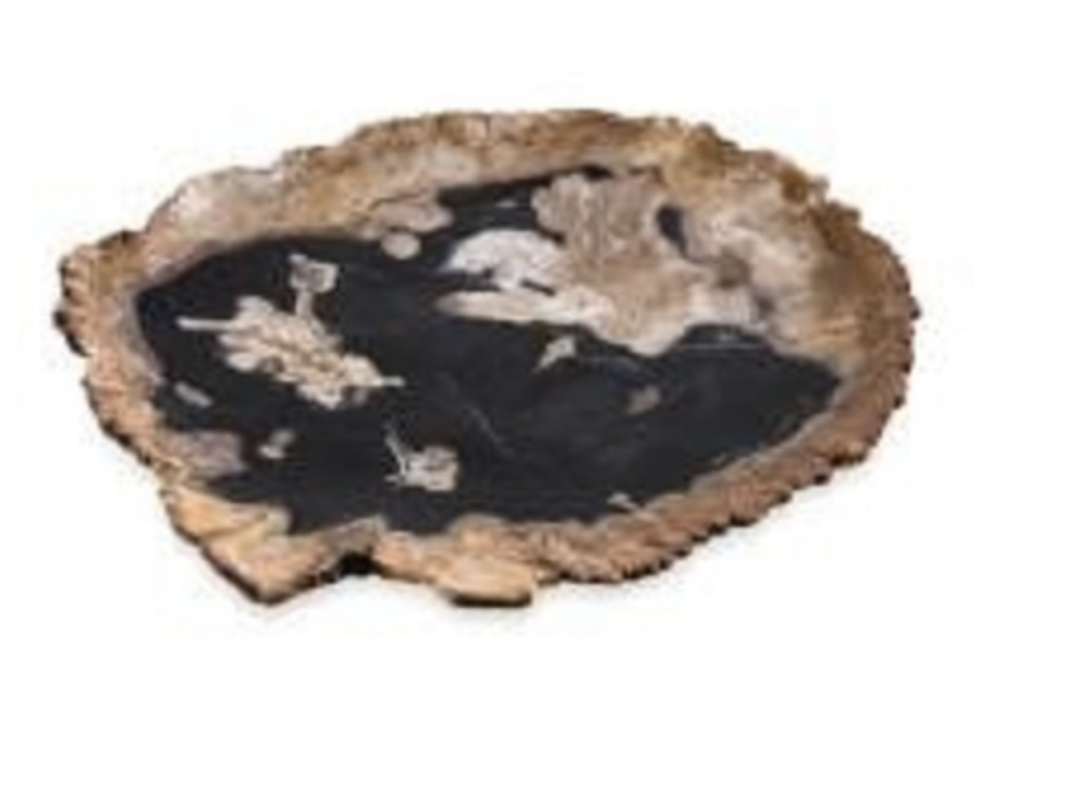 GALACTIC | PETRIFIED WOOD PLATE