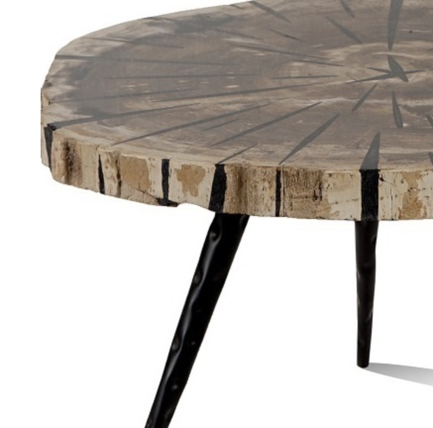 SOLAR | PETRIFIED WOOD COFFEE TABLE