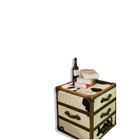 RAWHIDE | VINTAGE LUGGAGE SIDE TABLE