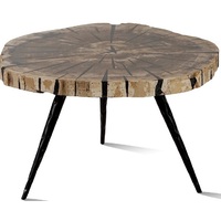SOLAR | PETRIFIED WOOD COFFEE TABLE