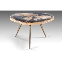 DARK SIDE | PETRIFIED WOOD COFFEE TABLE RANGE